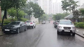 Rain That Puts You Gently to Sleep. Relaxing Sound for Sleep Meditation. White Noise.