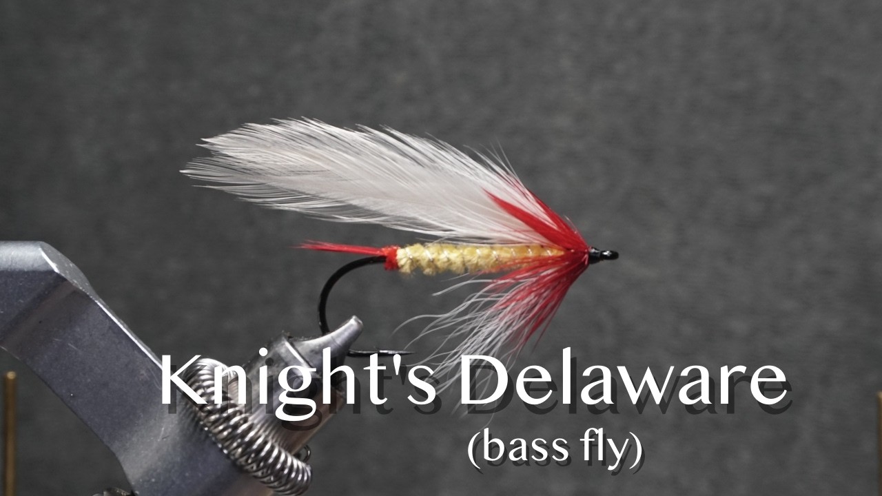 Delaware: a Jack Knight Bass Fly