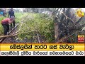 බේස්ලයින්|sin