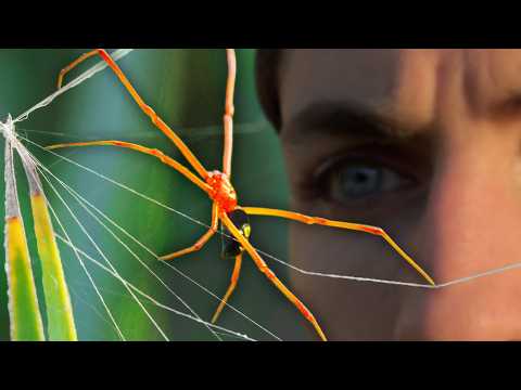 Hunting the WEIRDEST Creatures in Florida's Secret Islands