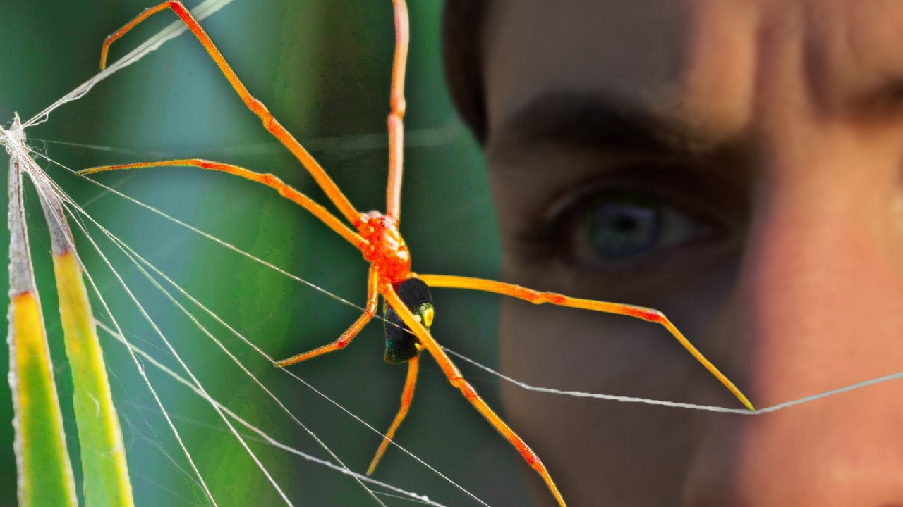 Охота на самых странных существ на секретных островах Флориды