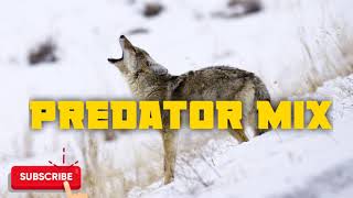 Predator Hunting Call Mix Sequence #3 - Free Download