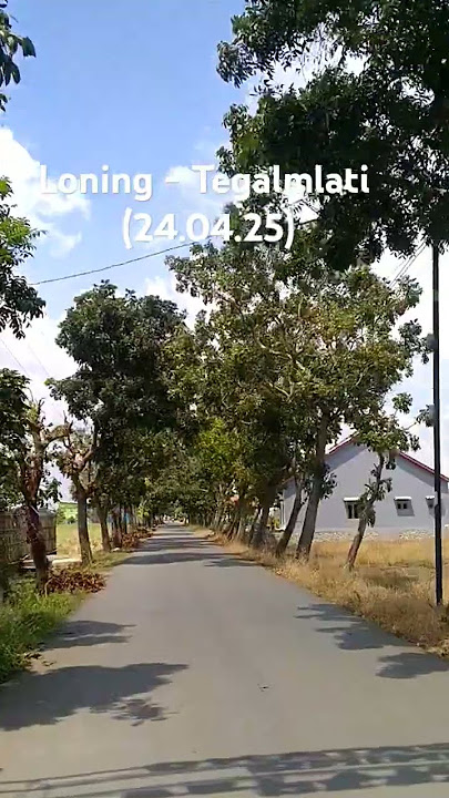 Perbatasan desa Loning - Tegalmlati Petarukan Pemalang Jawa Tengah(24-04-2025)