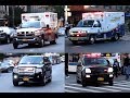 East village madness major medical emergency response for a translocation assignment