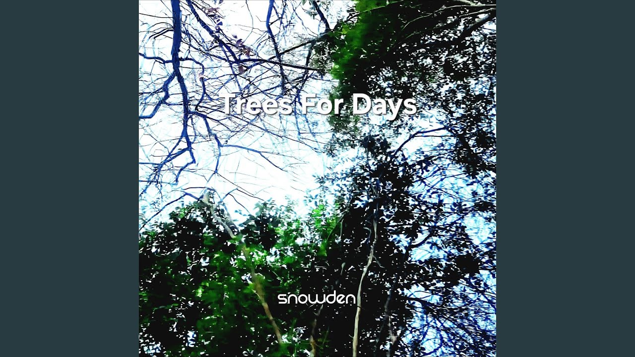 Trees for Days (Original Mix)