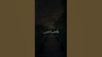{وَتَوَكَّلْ عَلَى الْعَزِيزِ الرَّحِيمِ} [الشعراء : 217]القارئ إسلام صبحي