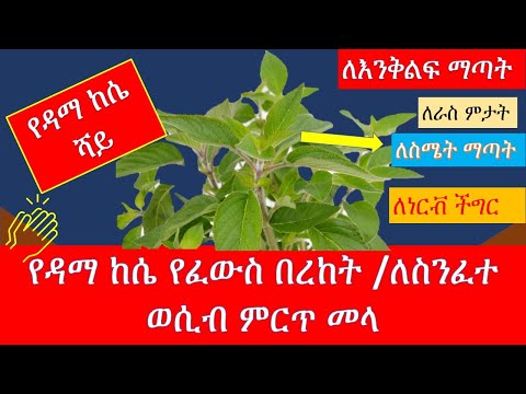 ቪዲዮ: የፈውስ ጥቁር ሽማግሌ እንጆሪ መጨናነቅ-እንዴት ማብሰል