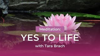 Guided Meditation: Yes To Life with Tara Brach