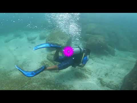 Video: La Roqueta Island (Isla de La Roqueta) сүрөттөмөсү жана сүрөттөрү - Мексика: Acapulco