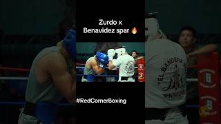 Zurdo Ramirez x David Benavidez spar 🔥#Boxing #ZurdoBenavidez #Sparring #RedCornerBoxing