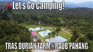 Let's Camp & Eat Durian @Tras Durian Farm