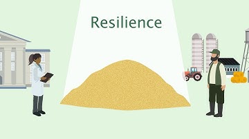 Resilient Farming Futures - Scientific Research Animation