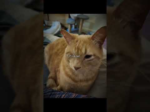 Hej Mor Duke To Feede Mi Subsciorberors