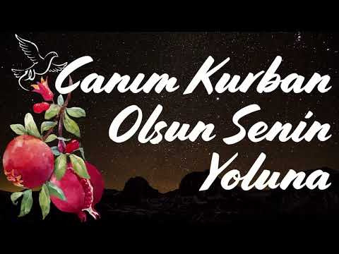 Canım Kurban OlsunS enin Yoluna  | Safa-yı Aşk_8  Enstrumantal Turkish Music | EnstrumantalSufiMusic