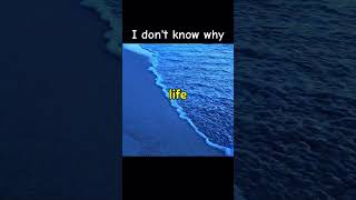 I don't know why #housemusic #catchyhooks #trendingson #reels #dancemusic