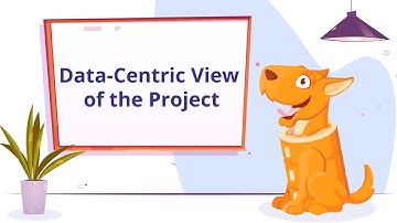 Exploring JPA Entities and Associations in a Data-Centric View of the Project | JPA Buddy