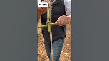 Simple rope skills to pull heavy objects!