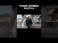 犬付き合いが不器用なえんどうくん