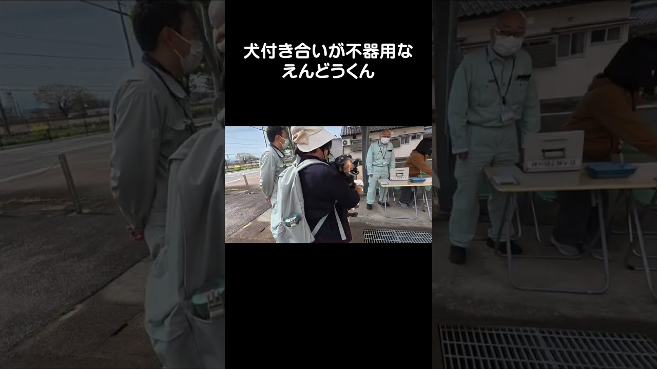犬付き合いが不器用なえんどうくん