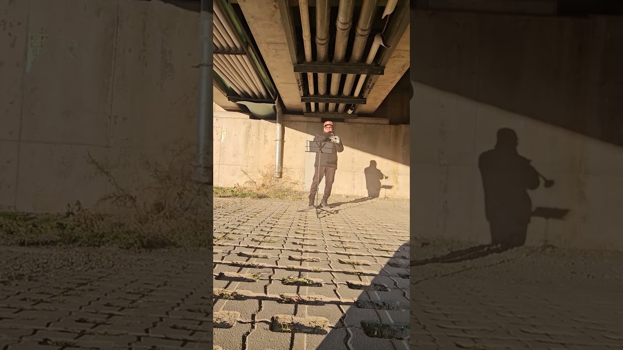 I was made for dancing (Leif Garrett)Trumpet busking practice 