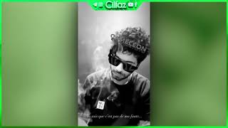 Elgrandetoto - Cest Pas De Ma Faute - Extrait Looped Cameleon Deluxe