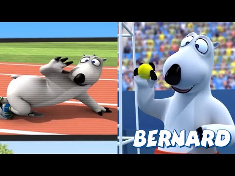 🐻‍❄️ BERNARD in the OLYMPIC GAMES | Full Episodes | VIDEOS and CARTOONS FOR KIDS