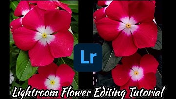 Lightroom Tutorial: Moody flower Editing//Lightroom mobile Editing//dark black preset