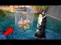 💣 7 Atracciones Mas EXTREMAS y PELIGROSAS del MUNDO😨