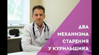 Два механизма старения у курильщика