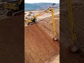 Long Reach Boom Excavators