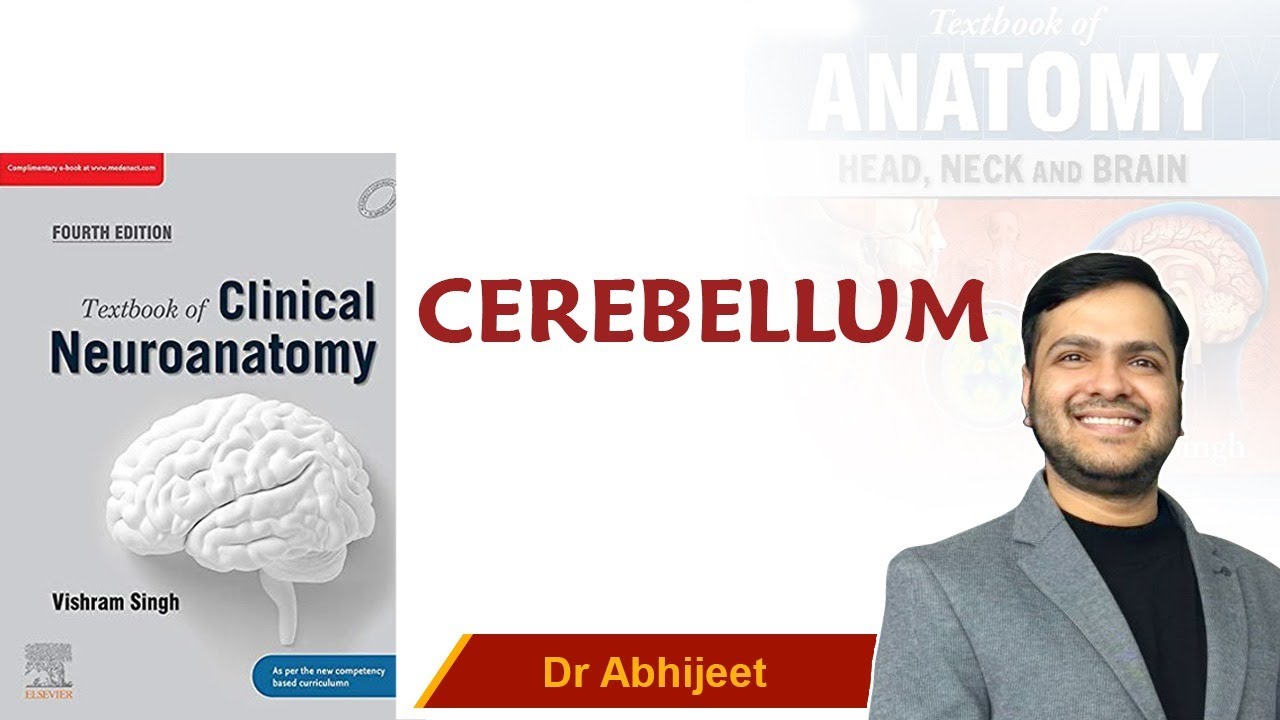 Neuroanatomy - Cerebellum ( Part -1 )  For Mbbs 1st Proff By Dr Abhijeet.