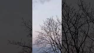 Stolin. Flooded Fields. Full River Goryn