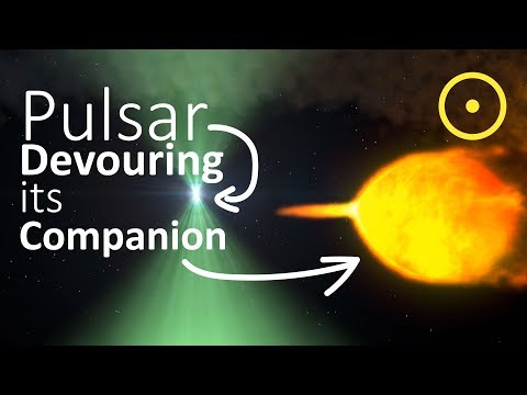 Black Widow Pulsar Eating a Star