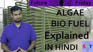 Algae Biofuel In HINDI {Future Friday}