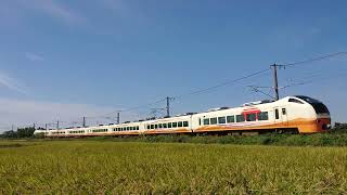 佐々木のカーブをゆく E653系 特急いなほ5号  2022年10月2日