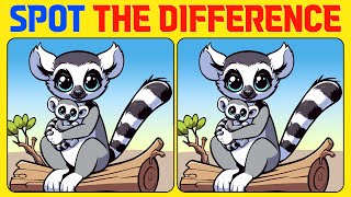 Spot the Difference | Brain Workout 《A Little Difficult》