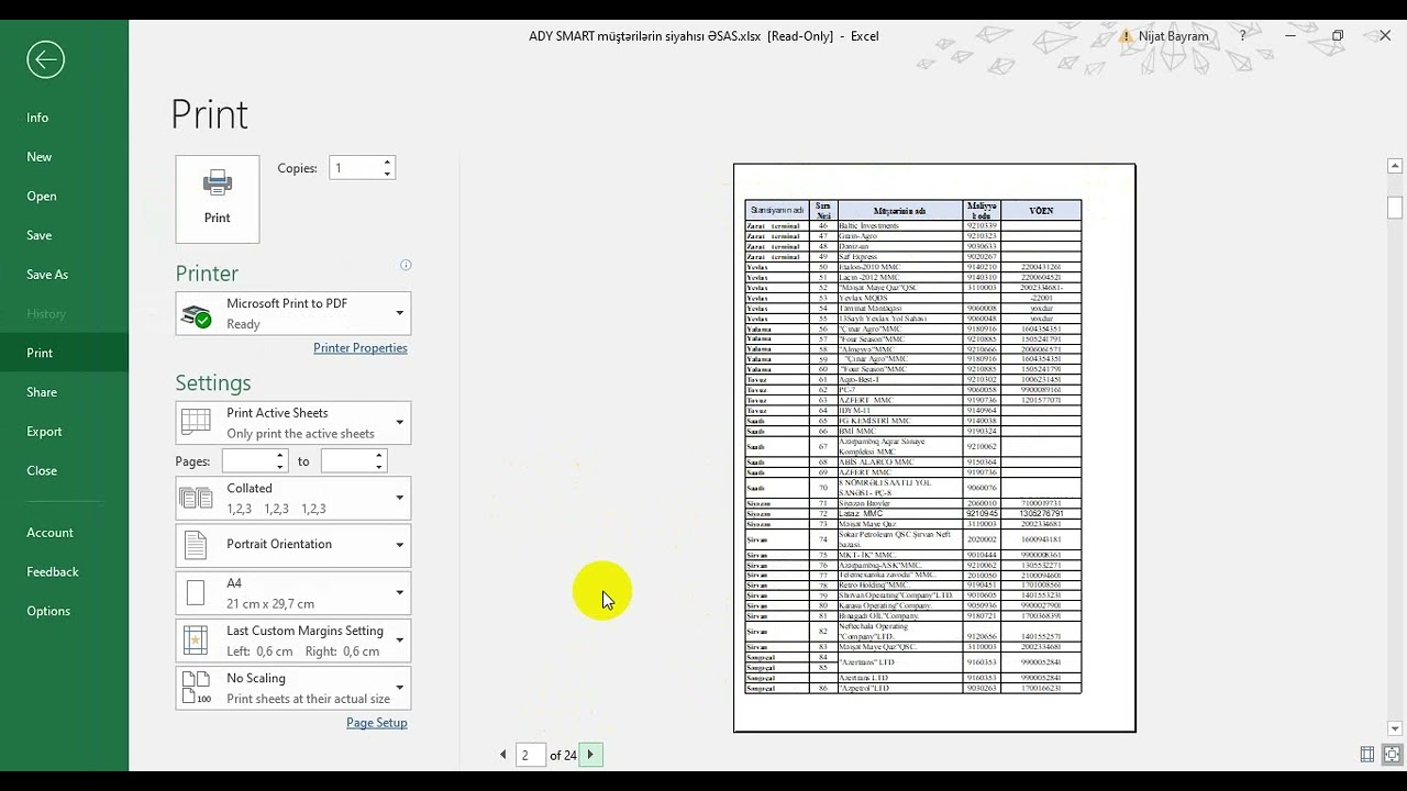 MS EXCEL 2019 - Page layout və Formulas lent tabı haqqında məlumat