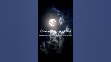 ﴿وإن ربك لذو فضل على الناس ﴾ القارئ اسلام صبحي   سورة النمل