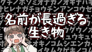 【17文字スタート】笑っちゃうくらい長すぎる名前の生き物10選