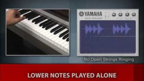 Mastery of Sound - String Resonance