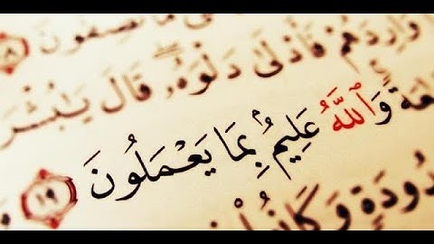 سورة يوسف - برواية ورش عن نافع القارئ الشيخ عبد الكريم الدغوش