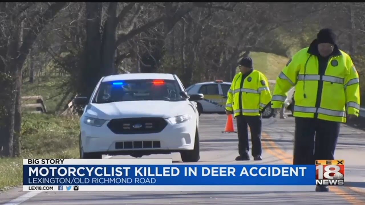 Motorcyclist Killed In Deer Accident YouTube