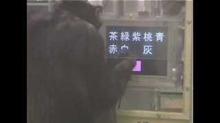 Color-Kanji letter matching-to-sample