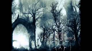 Funeral in the Forest - Hammer of Hate cover (not final mix)