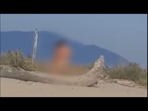 Scene di sesso alla spiaggia naturista, la denuncia di Santini
