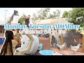 Monday Tuesday MOMday Unfiltered SAHM Life Chores Chickens Mom Life My First MOMday Vlog Monday Tuesday MOMday Unfiltered SAHM Life Chores Chickens Mom Life My First MOMday Vlog