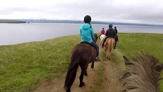 Riding Icelandic Horses along a Blacksand Beach