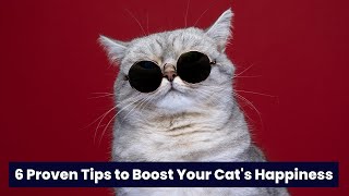 6 Proven Tips to Boost Your Cat's Happiness 😺 - Essential Cat Care Guide