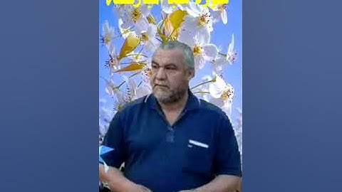 سورة سبأ ٠لمباركة ٠هديتى إلى أرواح أمواتكم اخوانى واخواتى الأطهار ٠ملا صاحب العبيدى