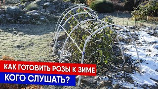 картинка: Как готовить розы к зиме - кого слушать?